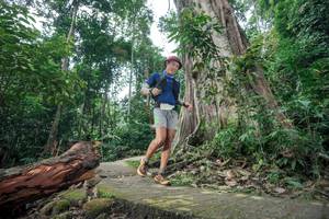 BIB: 
                            <button type="button" onclick="openModal(24809604)" class="btn btn-primary btn-sm float-right btn-popup" data-toggle="modal" data-target=".modal-high-quality">
                        <i class="fas fa-shopping-cart"></i> Add to Cart
                    </button>
                                            <button type="button" onclick="isThisMe(24809604, true)" class="btn btn-success btn-sm float-right btn-popup btn-isme hidden" data-toggle="tooltip" data-placement="bottom" title="นี่คือรูปของคุณใช่ไหม คลิกที่นี่เพื่อเอาเข้าอัลบั้ม">
                        <i class="fas fa-plus"></i> Add to album
                    </button>
                    <button type="button" onclick="isThisMe(24809604, false)" class="btn btn-warning btn-sm float-right btn-popup btn-isnotme hidden">
                        <i class="fas fa-ban"></i> Remove from album
                    </button>